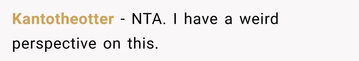 Aunt Lets Nephew Call Her Mom After His Own Parents “Got Rid” Of Him Kantotheotter − NTA. I have a weird perspective on this.