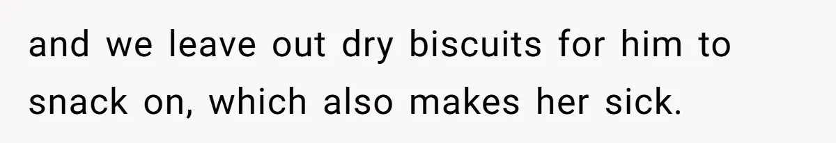 and we leave out dry biscuits for him to snack on, which also makes her sick.