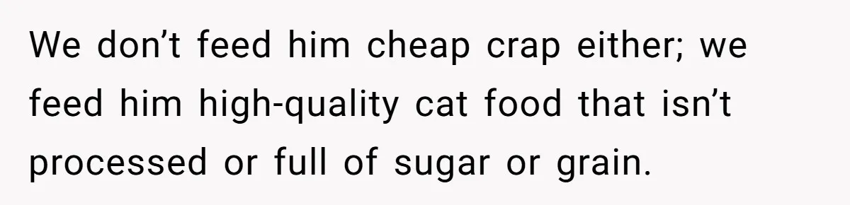 We don’t feed him cheap crap either; we feed him high-quality cat food that isn’t processed or full of sugar or grain.