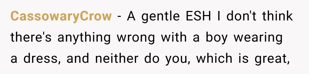 Dad Let His Son Wear A Dress To School, Then His Son Paid The Price CassowaryCrow − A gentle ESH I don't think there's anything wrong with a boy wearing a dress, and neither do you, which is great,