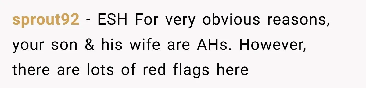 sprout92 − ESH For very obvious reasons, your son & his wife are AHs. However, there are lots of red flags here