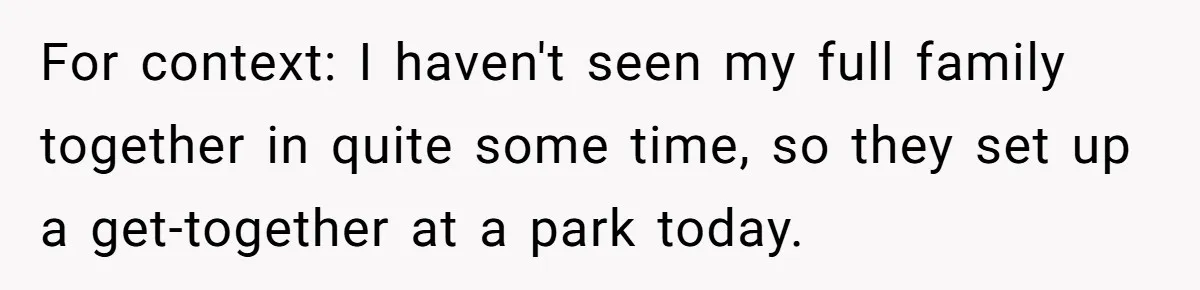 Man Refuses To Play Along After Family Says Kids Don’t Deserve An Adult Seat For context: I haven't seen my full family together in quite some time, so they set up a get-together at a park today.