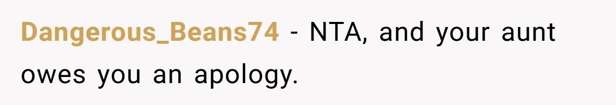 Man Refuses To Play Along After Family Says Kids Don’t Deserve An Adult Seat Dangerous_Beans74 − NTA, and your aunt owes you an apology.
