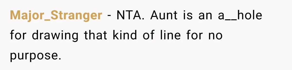 Man Refuses To Play Along After Family Says Kids Don’t Deserve An Adult Seat Major_Stranger − NTA. Aunt is an a__hole for drawing that kind of line for no purpose.