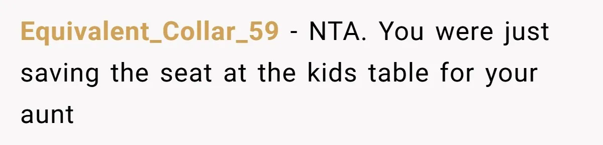 Man Refuses To Play Along After Family Says Kids Don’t Deserve An Adult Seat Equivalent_Collar_59 − NTA. You were just saving the seat at the kids table for your aunt