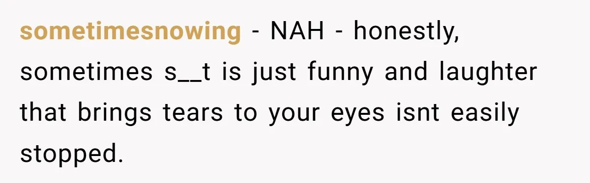 sometimesnowing − NAH - honestly, sometimes s__t is just funny and laughter that brings tears to your eyes isnt easily stopped.