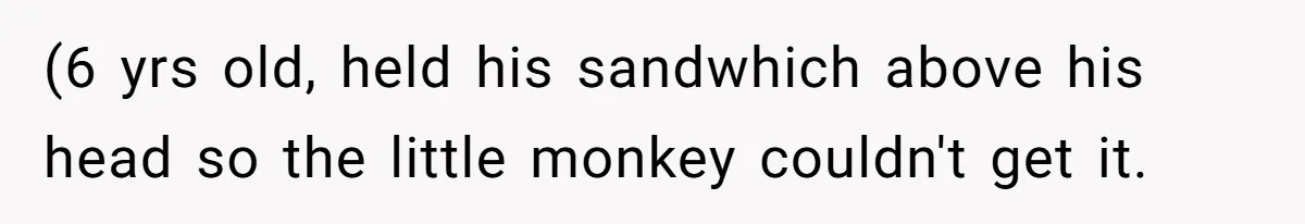 (6 yrs old, held his sandwhich above his head so the little monkey couldn't get it.