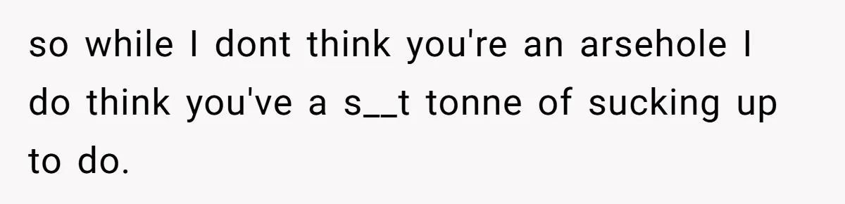 so while I dont think you're an arsehole I do think you've a s__t tonne of sucking up to do.