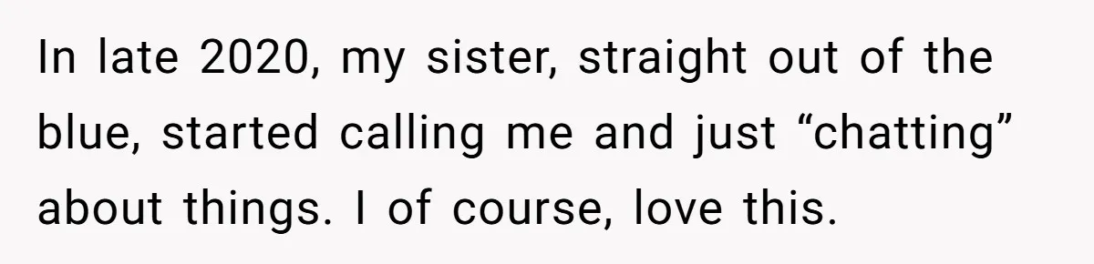 Man Can’t Believe Family Blames Him After Sister Escapes Abuse In late 2020, my sister, straight out of the blue, started calling me and just “chatting” about things. I of course, love this.
