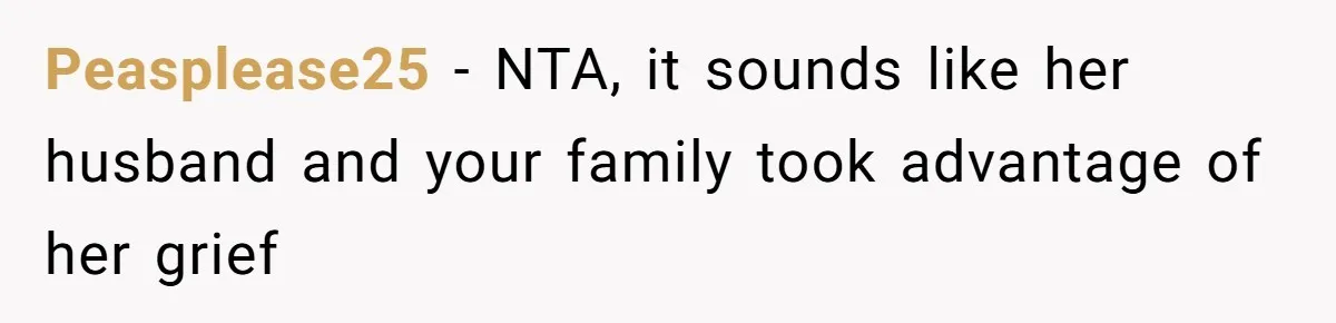 Man Can’t Believe Family Blames Him After Sister Escapes Abuse Peasplease25 − NTA, it sounds like her husband and your family took advantage of her grief