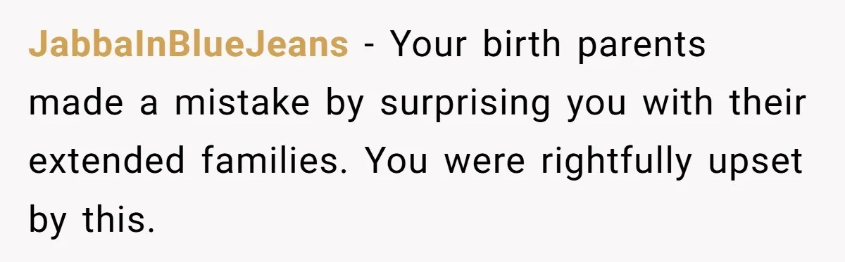 Orphan Melts Down As Biological Parents "Ambush" With Their Own Families And Happiness JabbaInBlueJeans − Your birth parents made a mistake by surprising you with their extended families. You were rightfully upset by this.