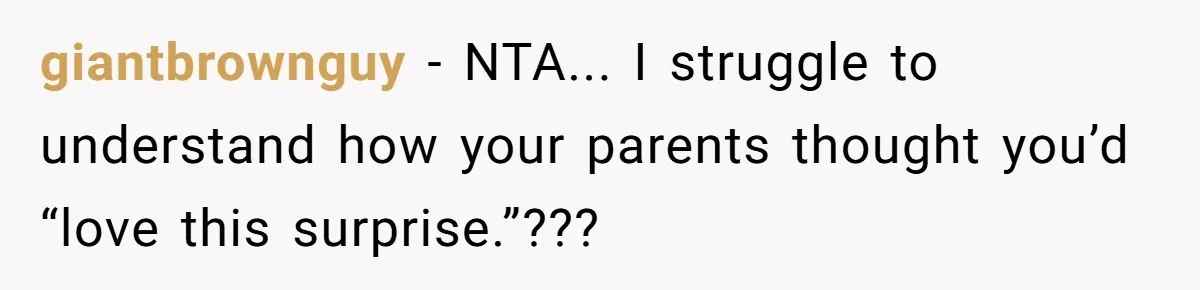 giantbrownguy − NTA... I struggle to understand how your parents thought you’d “love this surprise.”???