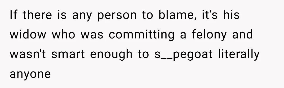If there is any person to blame, it's his widow who was committing a felony and wasn't smart enough to s__pegoat literally anyone
