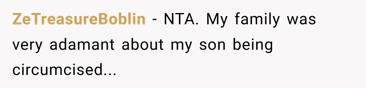 Dad Stands His Ground and Protects His Son’s Body Autonomy During a Tough Discussion ZeTreasureBoblin − NTA. My family was very adamant about my son being circumcised...