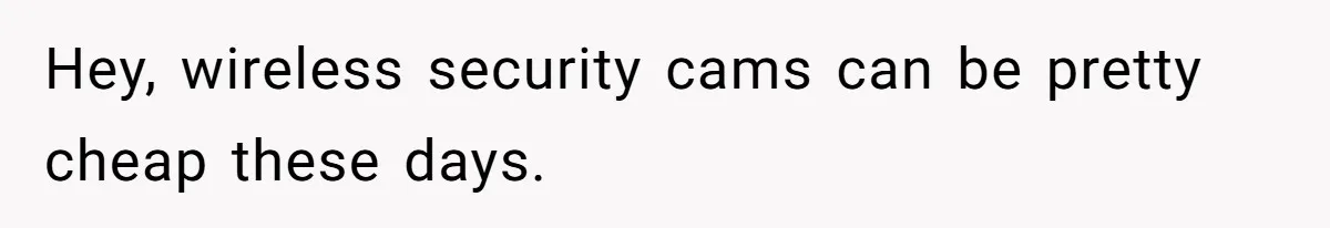 Hey, wireless security cams can be pretty cheap these days.