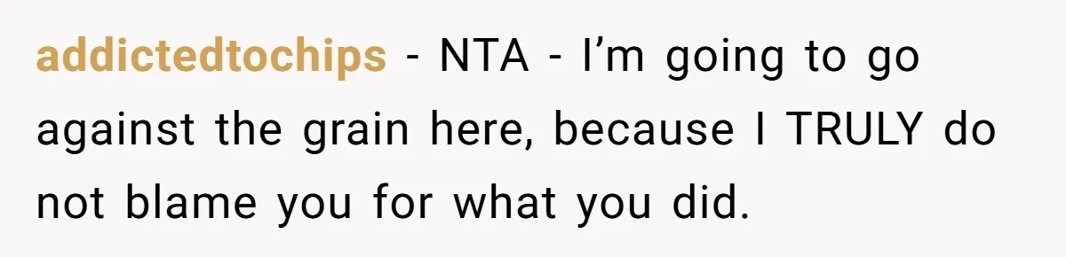 addictedtochips − NTA - I’m going to go against the grain here, because I TRULY do not blame you for what you did.