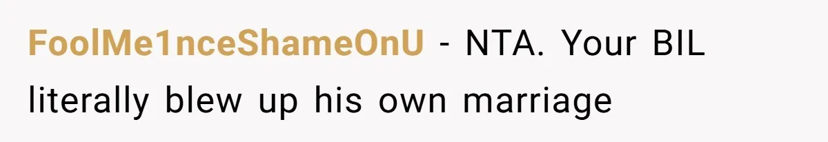 FoolMe1nceShameOnU − NTA. Your BIL literally blew up his own marriage