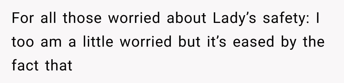 Man Tells Girlfriend To Sell Or Kill Her Horse To Prove She Loves Him For all those worried about Lady’s safety: I too am a little worried but it’s eased by the fact that