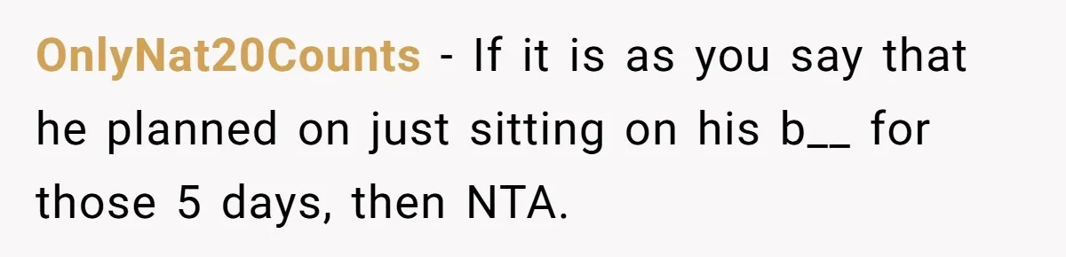 Pregnant Woman Cancels Husband’s Secret 5-Day Christmas Plans After He Invites 26 Relatives Without Telling Her OnlyNat20Counts − If it is as you say that he planned on just sitting on his b__ for those 5 days, then NTA.