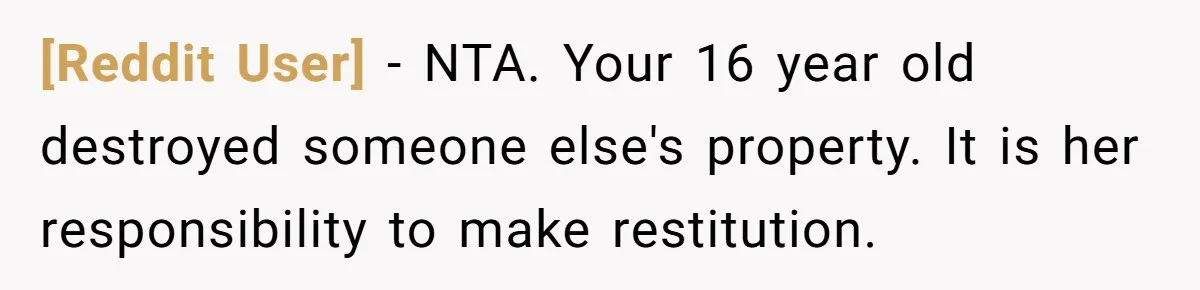 [Reddit User] − NTA. Your 16 year old destroyed someone else's property. It is her responsibility to make restitution.