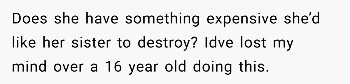 Does she have something expensive she’d like her sister to destroy? Idve lost my mind over a 16 year old doing this.