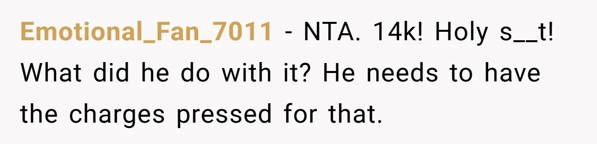 Emotional_Fan_7011 − NTA. 14k! Holy s__t! What did he do with it? He needs to have the charges pressed for that.