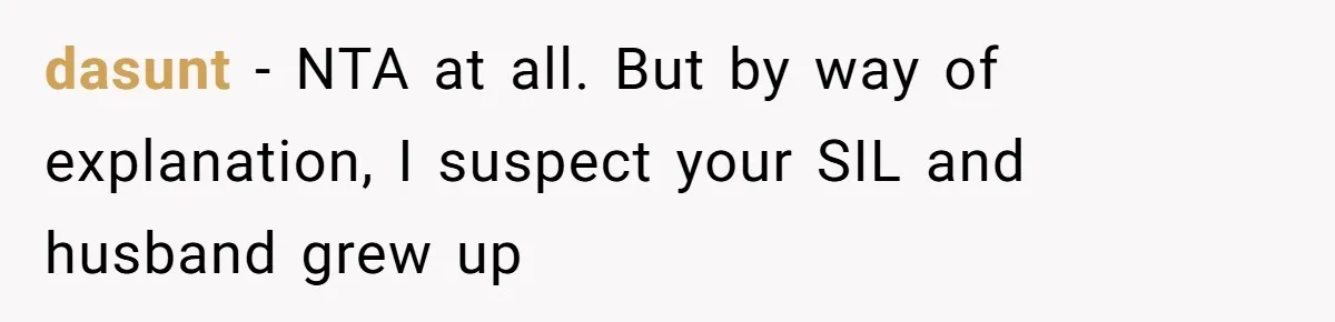 dasunt − NTA at all. But by way of explanation, I suspect your SIL and husband grew up