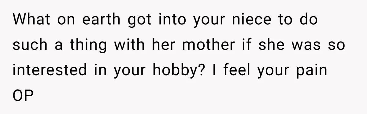 What on earth got into your niece to do such a thing with her mother if she was so interested in your hobby? I feel your pain OP