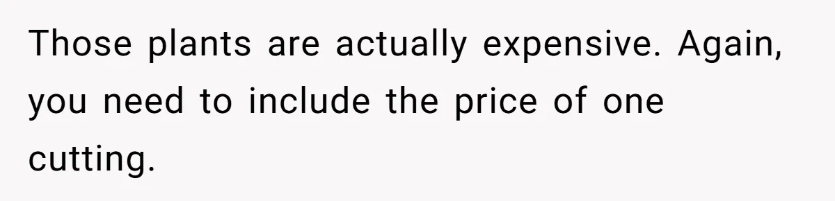 Those plants are actually expensive. Again, you need to include the price of one cutting.