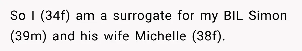 So I (34f) am a surrogate for my BIL Simon (39m) and his wife Michelle (38f).
