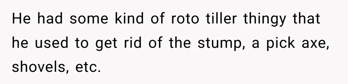 He had some kind of roto tiller thingy that he used to get rid of the stump, a pick axe, shovels, etc.