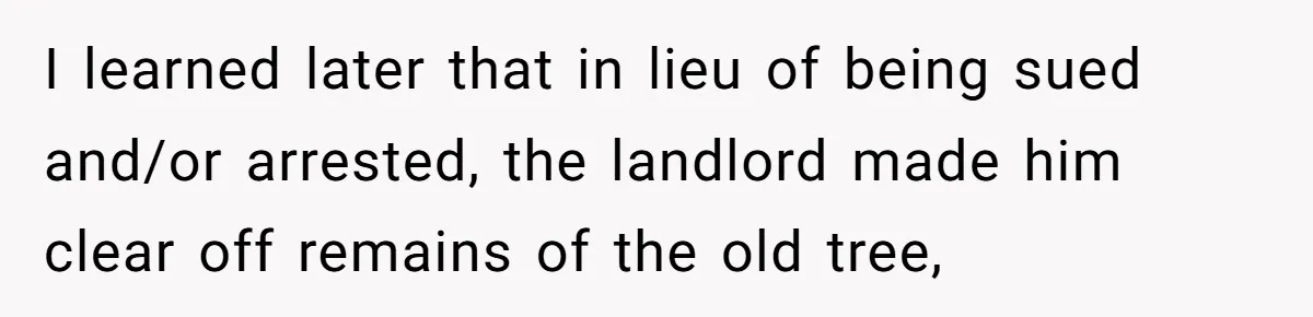 I learned later that in lieu of being sued and/or arrested, the landlord made him clear off remains of the old tree,