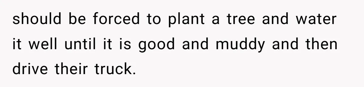 should be forced to plant a tree and water it well until it is good and muddy and then drive their truck.