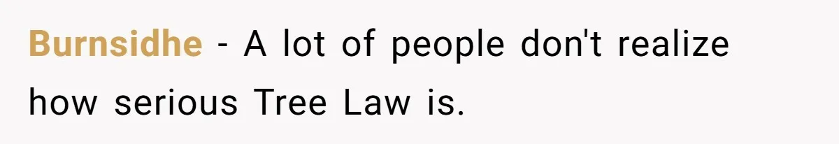 Burnsidhe − A lot of people don't realize how serious Tree Law is.