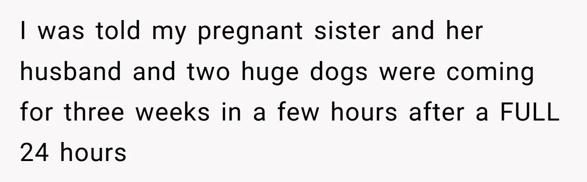 I was told my pregnant sister and her husband and two huge dogs were coming for three weeks in a few hours after a FULL 24 hours