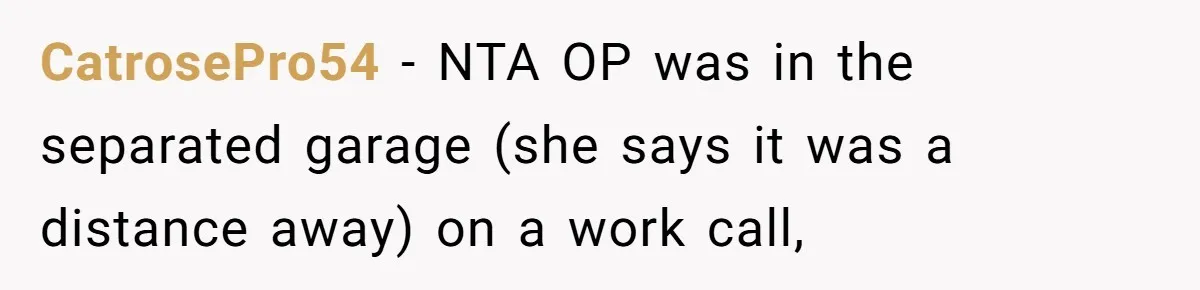 CatrosePro54 − NTA OP was in the separated garage (she says it was a distance away) on a work call,