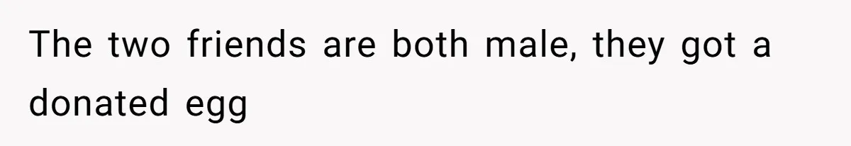 Friend Asks Surrogate to "Co-Parent" Following a Messy Divorce and Move The two friends are both male, they got a donated egg