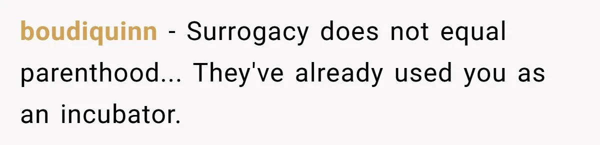 Friend Asks Surrogate to "Co-Parent" Following a Messy Divorce and Move boudiquinn − Surrogacy does not equal parenthood... They've already used you as an incubator.