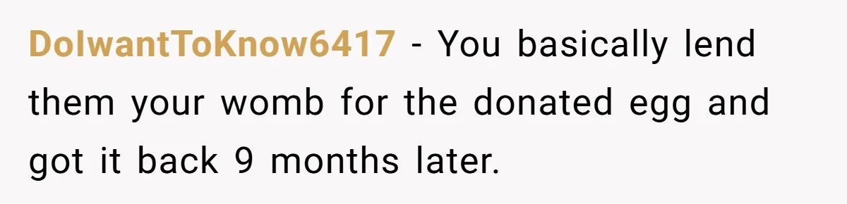 Friend Asks Surrogate to "Co-Parent" Following a Messy Divorce and Move DoIwantToKnow6417 − You basically lend them your womb for the donated egg and got it back 9 months later.