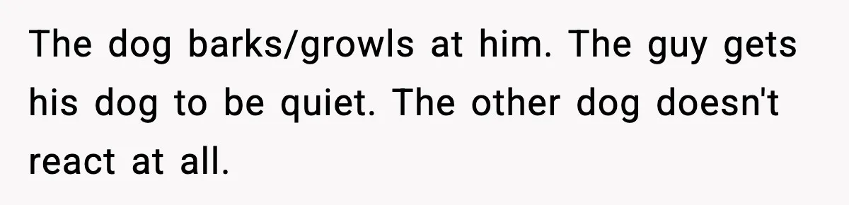 The dog barks/growls at him. The guy gets his dog to be quiet. The other dog doesn't react at all.