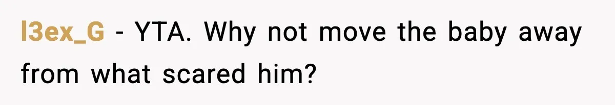 l3ex_G - YTA. Why not move the baby away from what scared him?
