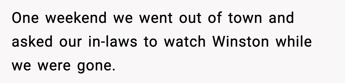 One weekend we went out of town and asked our in-laws to watch Winston while we were gone.