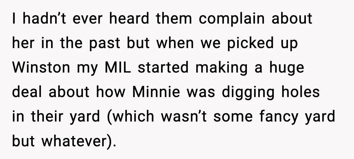 I hadn’t ever heard them complain about her in the past but when we picked up Winston my MIL started making a huge deal about how Minnie was digging holes...