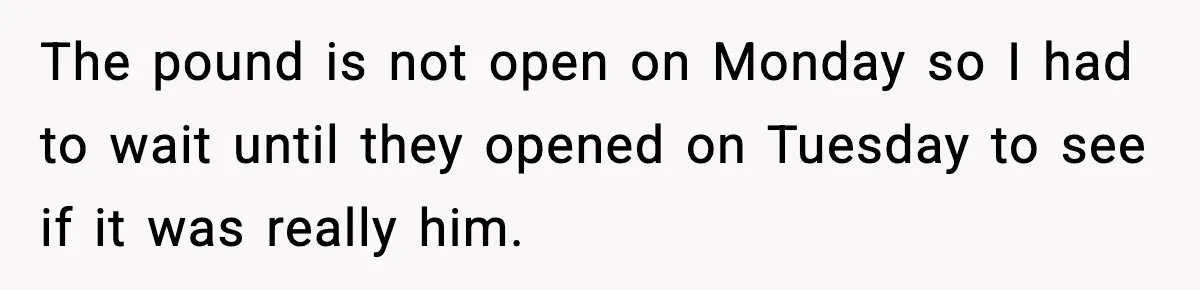 The pound is not open on Monday so I had to wait until they opened on Tuesday to see if it was really him.