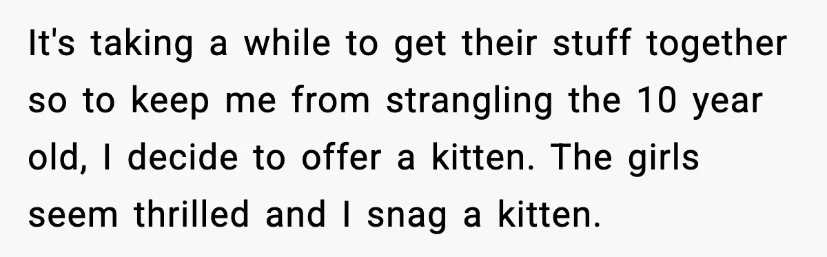 It's taking a while to get their stuff together so to keep me from strangling the 10 year old, I decide to offer a kitten. The girls seem thrilled and...