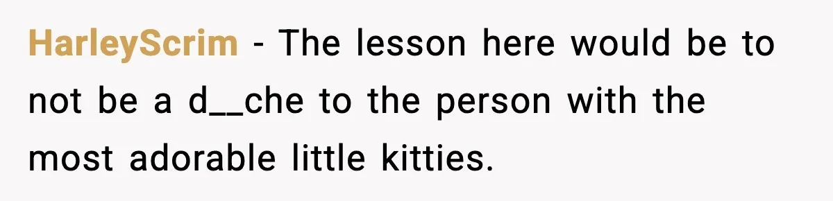 HarleyScrim - The lesson here would be to not be a d__che to the person with the most adorable little kitties.