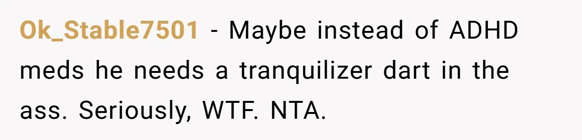 Ok_Stable7501 − Maybe instead of ADHD meds he needs a tranquilizer dart in the ass. Seriously, WTF. NTA.