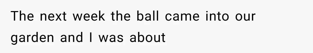 The next week the ball came into our garden and I was about