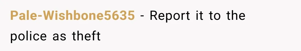 Pale-Wishbone5635 − Report it to the police as theft