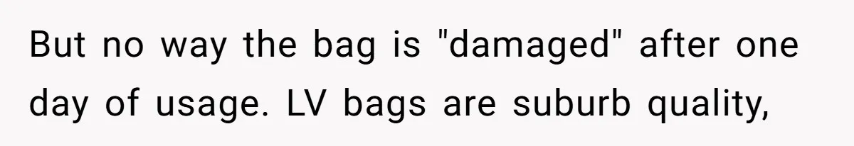 But no way the bag is "damaged" after one day of usage. LV bags are suburb quality,